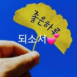 피드에 업로드 된 이미지