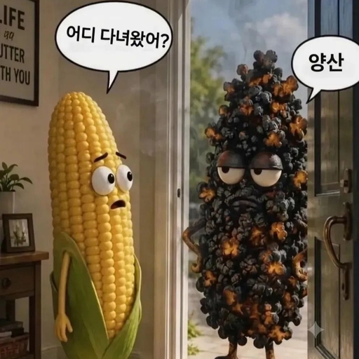 피드 이미지
