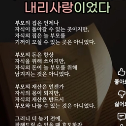 피드에 업로드 된 이미지