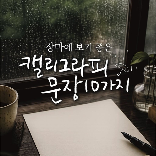 피드 이미지