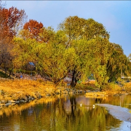 피드에 업로드 된 이미지