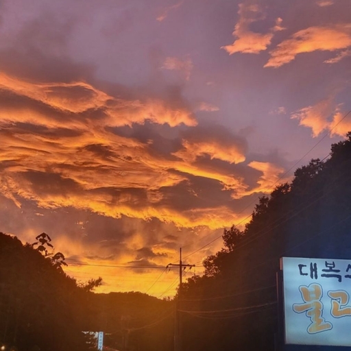 피드 이미지