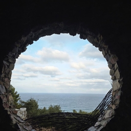 피드에 업로드 된 이미지