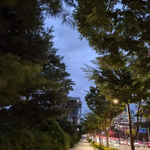 피드 이미지