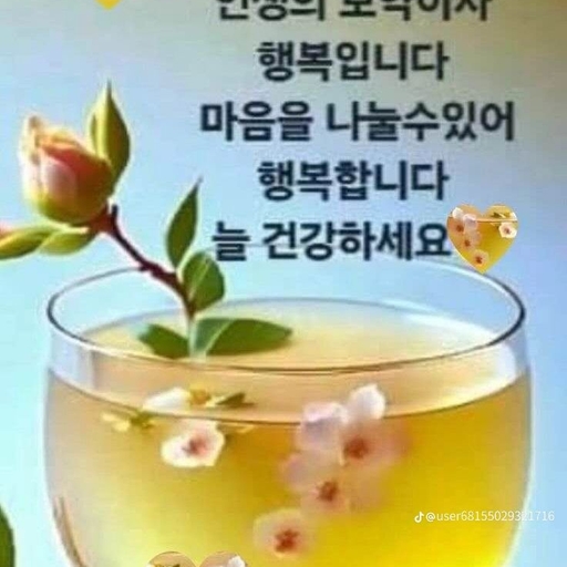 피드 이미지
