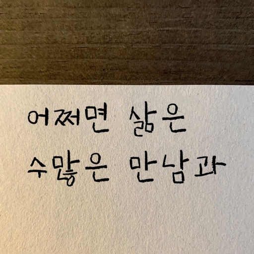 피드 이미지
