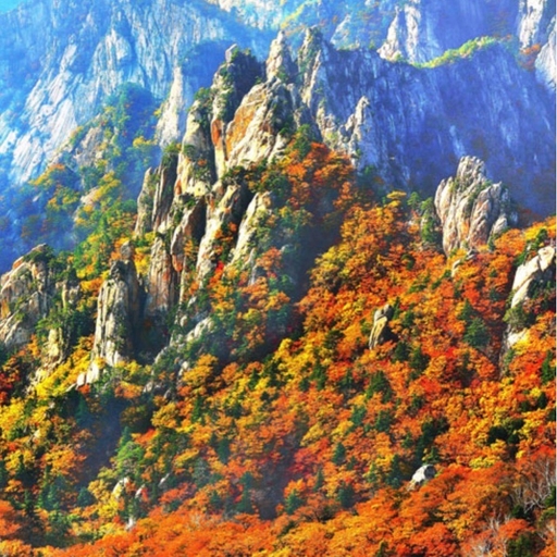 피드 이미지