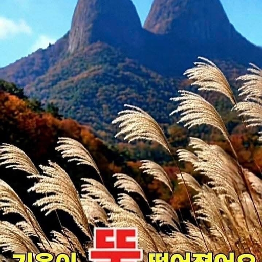 피드 이미지