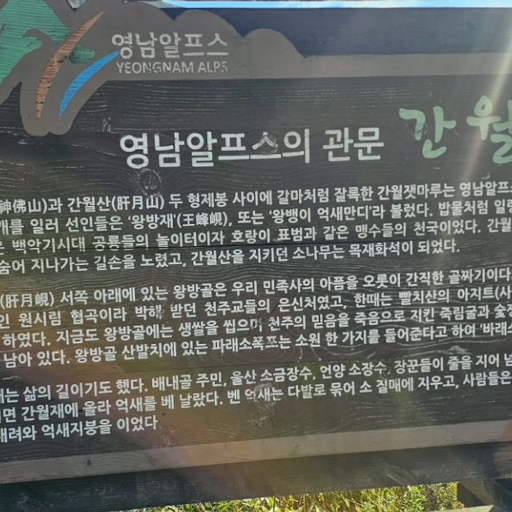 피드 이미지