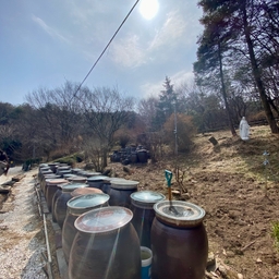 ํผ๋์ ์
๋ก๋ ๋ ์ด๋ฏธ์ง