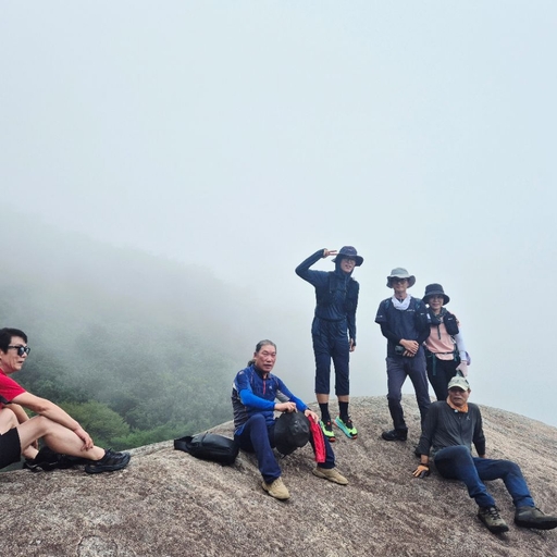 ํผ๋ ์ด๋ฏธ์ง