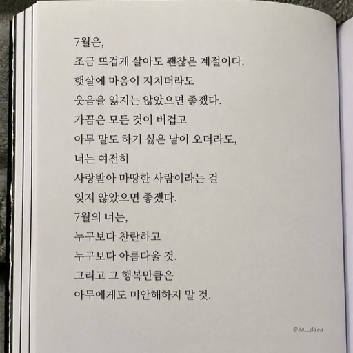 피드 이미지
