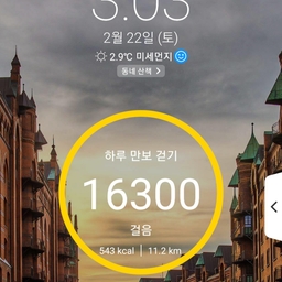 피드에 업로드 된 이미지