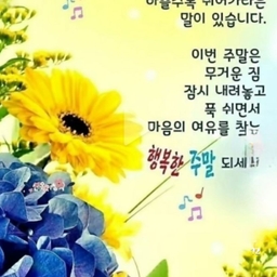 피드에 업로드 된 이미지