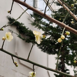 피드에 업로드 된 이미지