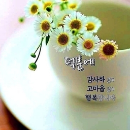 피드에 업로드 된 이미지