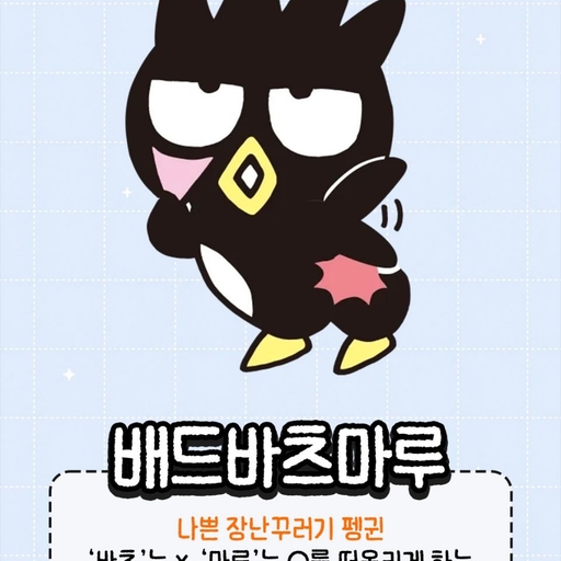 피드 이미지