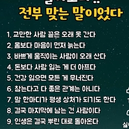 피드에 업로드 된 이미지