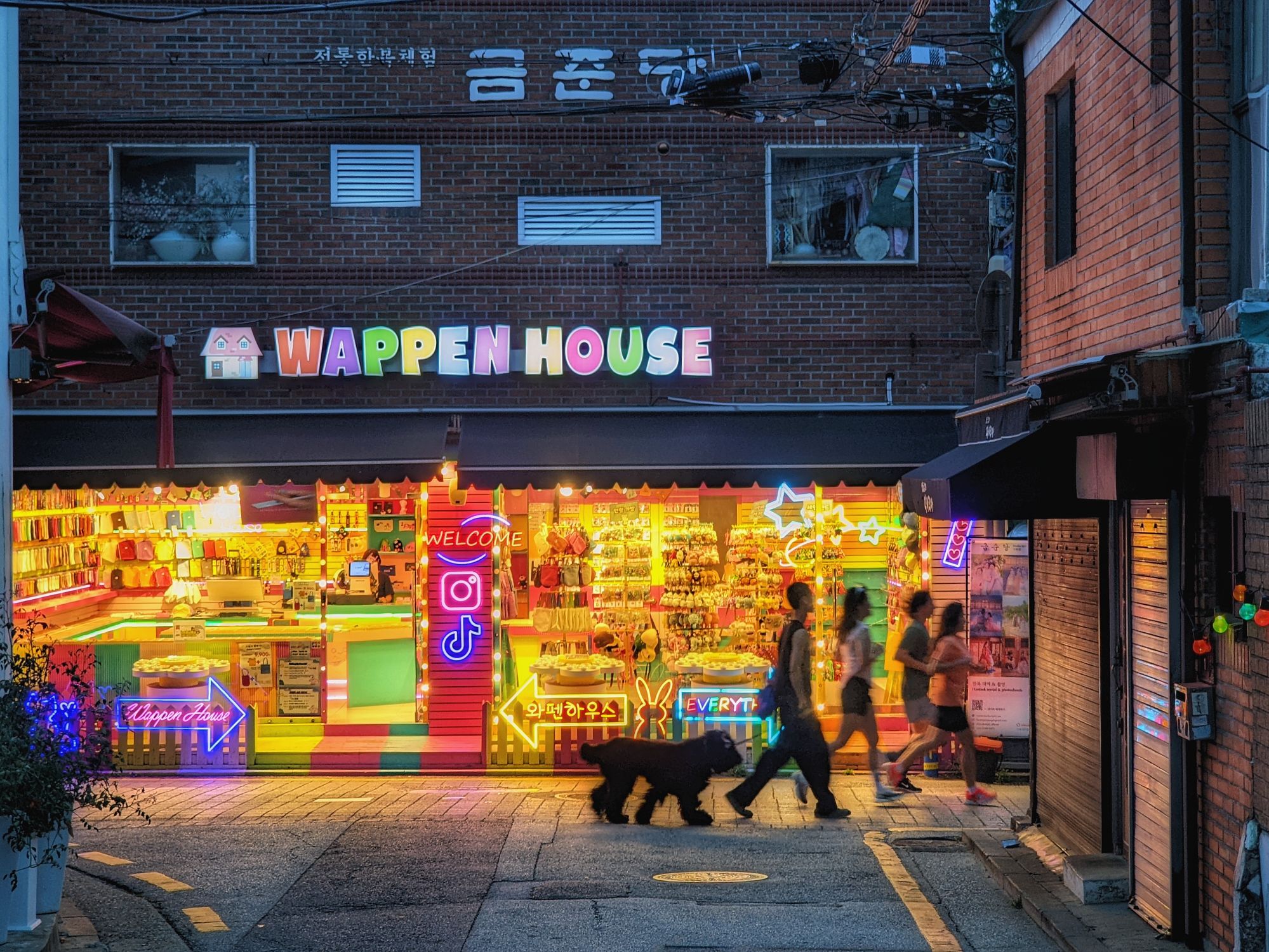 피드 이미지