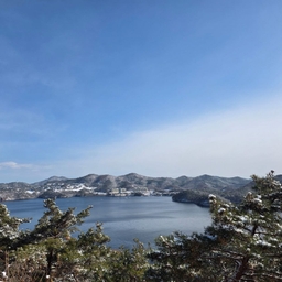 피드에 업로드 된 이미지