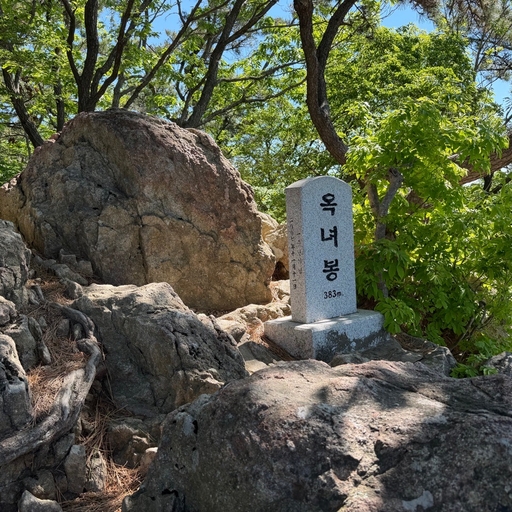 피드 이미지