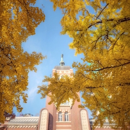 피드에 업로드 된 이미지