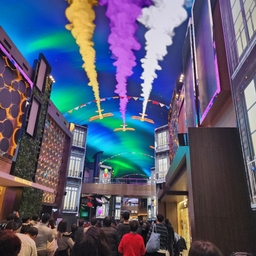 피드에 업로드 된 이미지