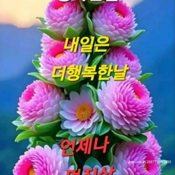 피드에 업로드 된 이미지