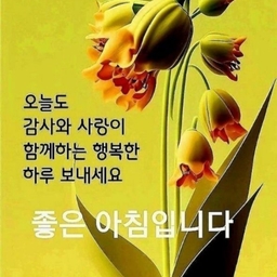 피드에 업로드 된 이미지