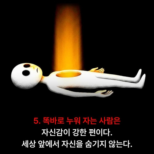 피드 이미지