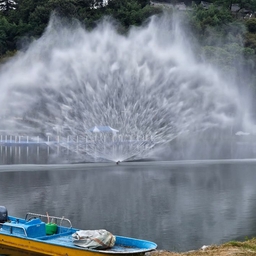 피드에 업로드 된 이미지