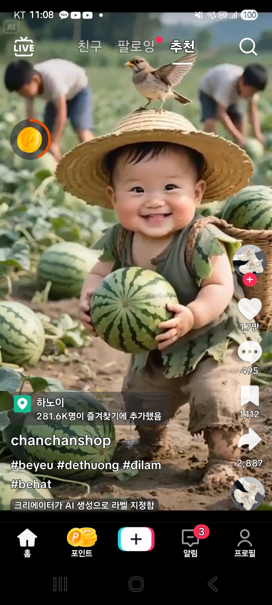 피드 이미지