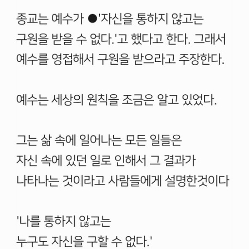 피드 이미지