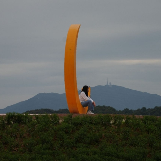 피드 이미지