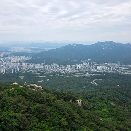 피드 이미지