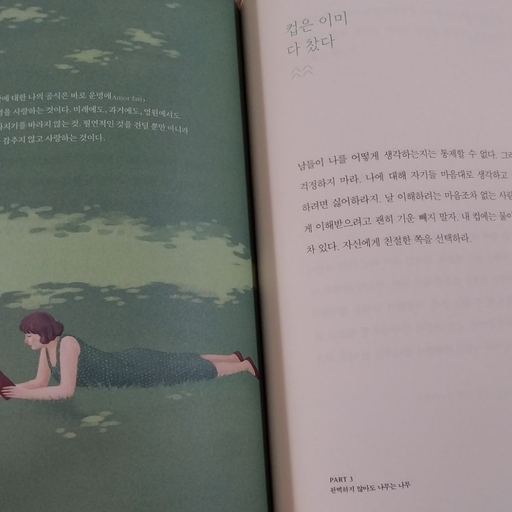 피드 이미지