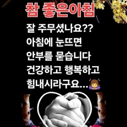 피드에 업로드 된 이미지