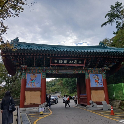 피드 이미지