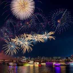 피드에 업로드 된 이미지