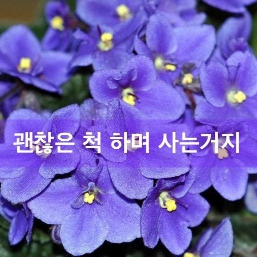 피드 이미지