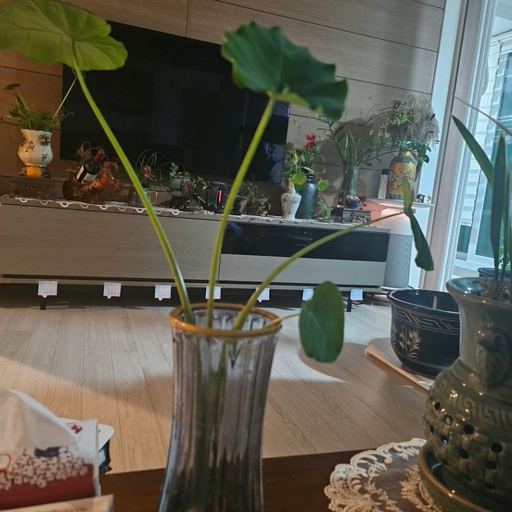 피드 이미지