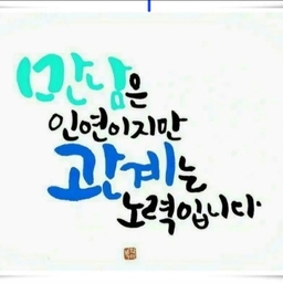 피드에 업로드 된 이미지