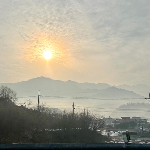 피드 이미지
