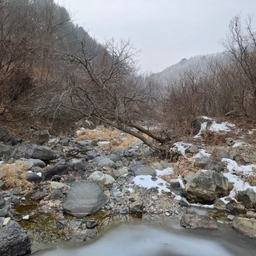 피드에 업로드 된 이미지