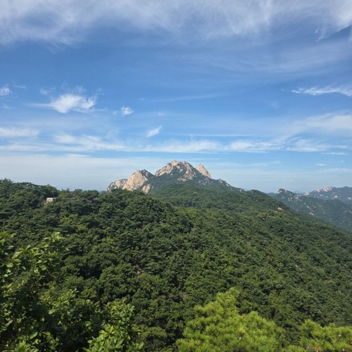 피드 이미지