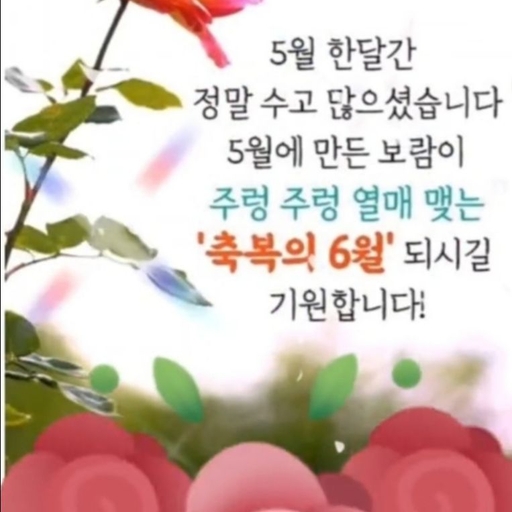 피드 이미지