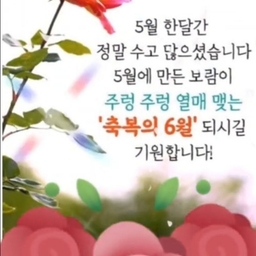 피드에 업로드 된 이미지