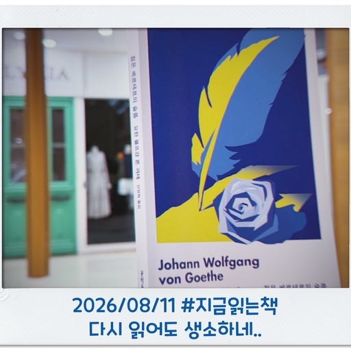 피드 이미지