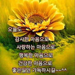 피드에 업로드 된 이미지