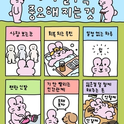 피드에 업로드 된 이미지
